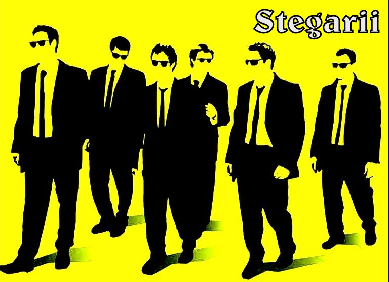 STEGARII-1
