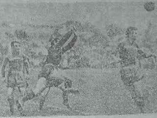 x320x240_images-stories-11dinbra57